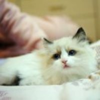 E00d1afedcaef7bdc72755155d27e4c86fd19909