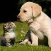 641eadd9b8cc9122af3fef81772506b53d25ef8c