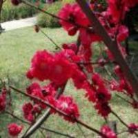 B6c527895e47fb2f626d859017a33d6861f9d37a