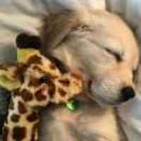 D73c23804ce2acd00ea54d626078ff0a5fef839b