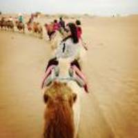 96de0219eee569d2c647348632a1f6cbbd25c9bb