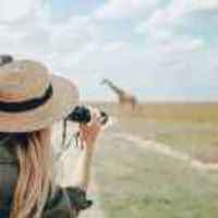 0dedaf6a9fb22e9739ddbf2a562c6400c61085e8