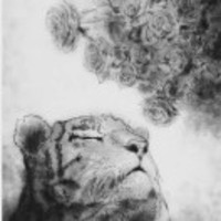 B53835185468b5b64691584652621e4bf91fa8a4