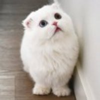 4b3ed7d631bb738adeb7603b1064f70aa4dbcbdd