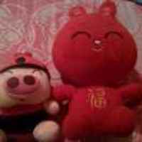 Ce61294a6d47bd4441fe9319790c6186863ce3a1