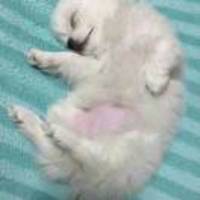 Aae72d37944628cc79d86aa107413c36ee7cb818