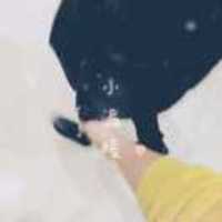 B3fabc09d63f1dfdc9eca2c3e6607803639ae641