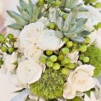 40288aa0c2d53f7d8e5a4889129e5dc29ab6f03d