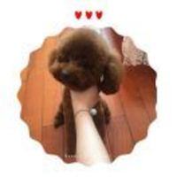 D69c9986fc284e28d82ae94a1f5b77414d823987