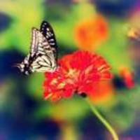 B27d934e0532abcde2961f3984315f24bffbc3fa