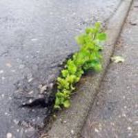 3c78ff45af8f0336541933c8a204c4a3d8e56fa1