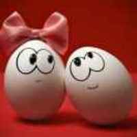 491344d76ea539ff4e1267969ee0d0501063801c