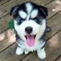 29bc965bac06b10ad94980fbe419420cf44c82b5