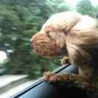 918bbd05d4b6121d92c0438a36d0f545e318ea1d