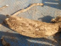 4c160855ac50b6995db123dcee1c12eeefd144dd