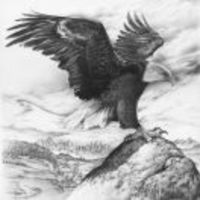 Abd597129bb2361e6877156127ea81929ce58238