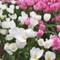 B2ed2d4cf84fa3423834ee29ec390d68387a7559