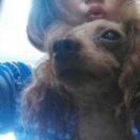 821f83540905681203240ed2a8c164b3c06a0aa6