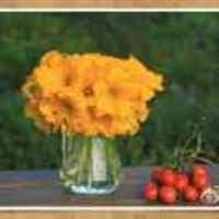 5e89bae292b315407102f62ae119d6592a234f00