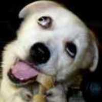 84d40dd59b63a9e6b0c4c299f39d43dcb1c2bc90