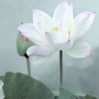 6b94aa031ce345e5f685b973c823362f61a02c5e