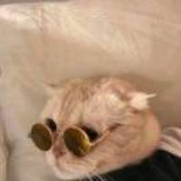 8b2ea9dda89e419493346a27167e7ce13c9a561c