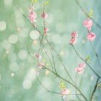 6e087b8fb659ca7e31b5ddcdf7901d81eb2d064b