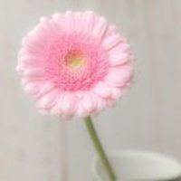 7efa37439b3150e97898942aa29156a53266336b