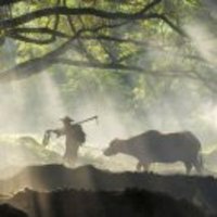 1d1fd47b6c539eba656ddf288d2550dc5b1d809a