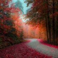 621d6167eeccff6cde5aef06dc6b47e7ff4db284