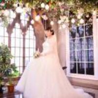 C62c8a0960c90632316df6aca4a62bc6516ca689