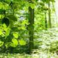 C06c6cf4b6a733cbbd86006c34e5771988fa7686