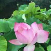 06c351edcdbc51443f2c6bc0349821d48113d841