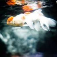 4334e053d40ab7a0a6691c61ce66183c9838d12f