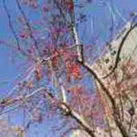 1b8a6a4d0b75d433d0b920fceefca9f35f60c9d8