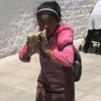 Ee86d78ea7c35889d0c7bbb4bb26a970e2848555