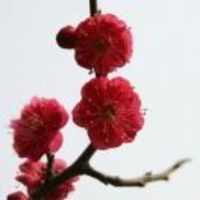 59016e608a3437f19a0065b52bc4d4efea47f95d