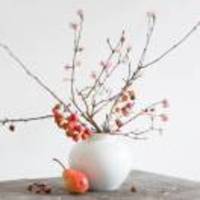 356a3d17d70d63d0cd1df0dbf945d302f8798662