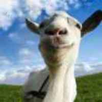 Ff3dba451464579d574c2da0a84b739818fc9659