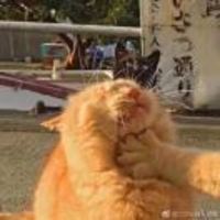 B3d611d47254b07b6ca0a4281a1b5a608adba313