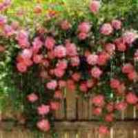 0164bc451f63b74a2e2084e9dd966b8d2dcb258e