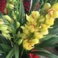 634fd4558f1d774cbeb3c9892daf86a8b9bf3177