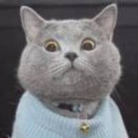 4927c14aa56d32fc997c728aa95c19bd4fb47c3e