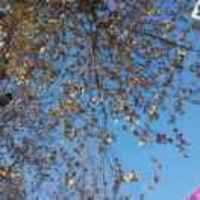 676457ccc055c23fcd07d3b9210bc5f8566ff417