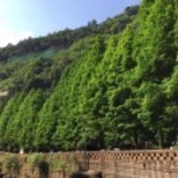 4b0b405dfdebaa22e1e7f28f851772d3e683661d