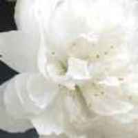 Bf762c196c1fb2400e2ec897173576d8aceaf9c2