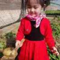 323e0662097f980a6ed157982e7390474ec80845