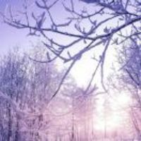 92132d7229c98d1beea0ee9552566995c53e6b85