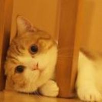 99c6c1779f80941fe0c31b76496ffee155669fdf