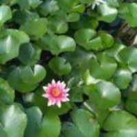 E9e8d2f14556c2818c52c2fd05cce9f04eddec7a